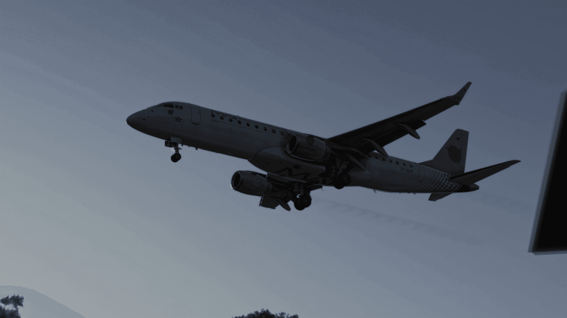 Flight