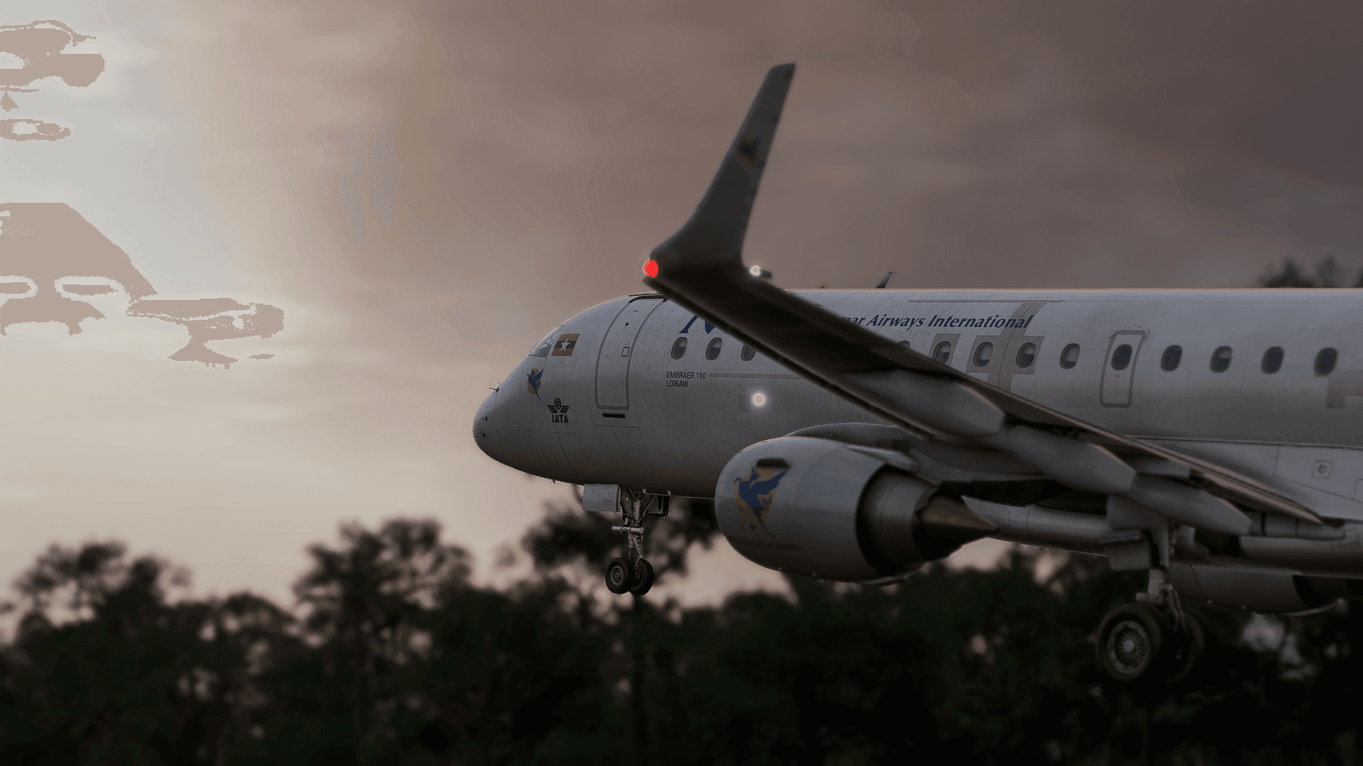 Flight